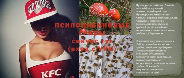 скорость Баксан