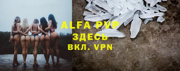 молекула духа Балахна