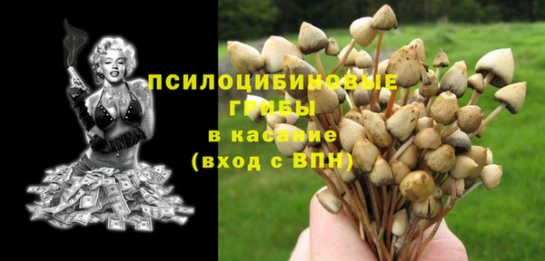 МДПВ Сосновка