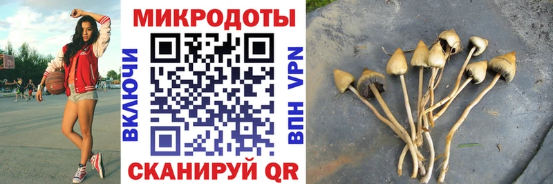 Псилоцибиновые грибы MAGIC MUSHROOMS  OMG ССЫЛКА  Канск 